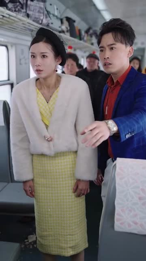 春运归途团圆年（40集）番茄短剧免费看