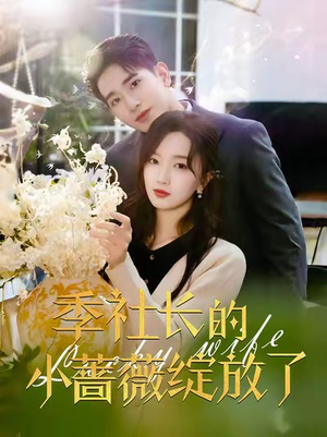季社长的小蔷薇绽放了（60集）西瓜短剧免费看