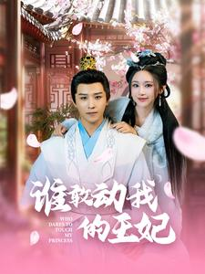 谁敢动我的王妃（62集）短剧热门分享