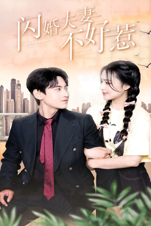 闪婚夫妻不好惹（90集）深深爱上这部剧