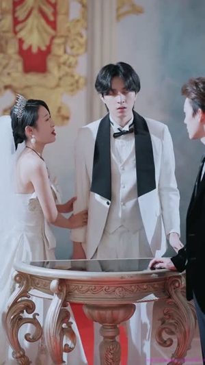 婚礼换爱（90集）追短剧看全集