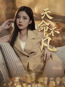 天命不凡（28集）最火短剧热播