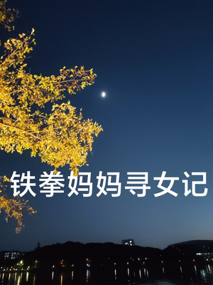 铁拳妈妈寻女记（69集）古装短剧热播