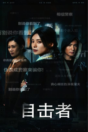 目击者&深夜伪装（30集）免费观看完整版