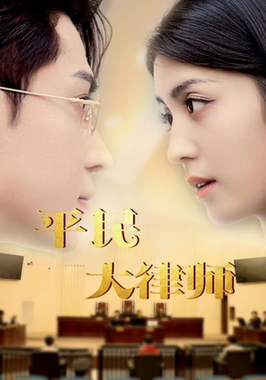 平民大律师（95集）精彩短剧免费看