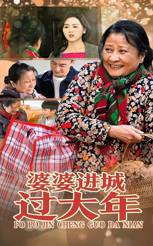 婆婆进城过大年（33集）太好看了短剧