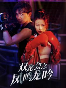 双龙会之凤鸣龙吟（80集）追短剧看全集