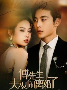 傅先生夫人又闹离婚了（80集）免费热门短剧