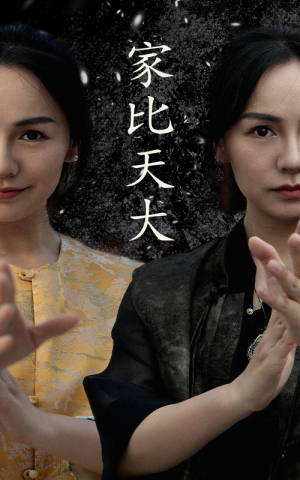 家比天大（63集）无需会员免费看
