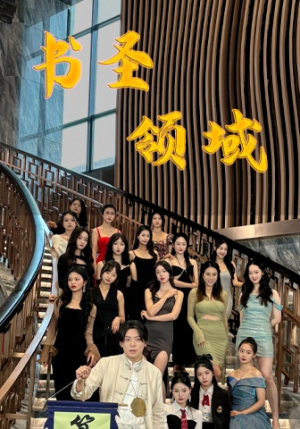书圣领域（95集）免费短剧看不停