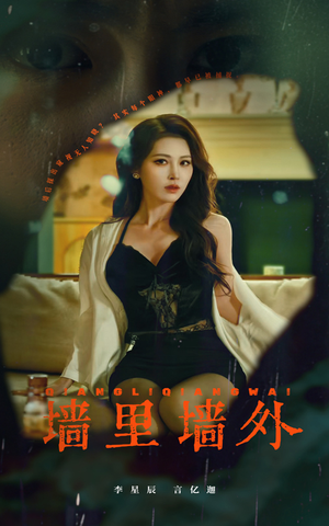 墙里墙外（55集）精彩的网络短剧