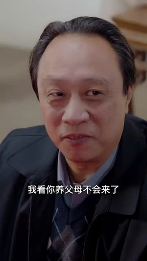 过年回村我的爱情变了颜色（30集）热门短剧追到爽