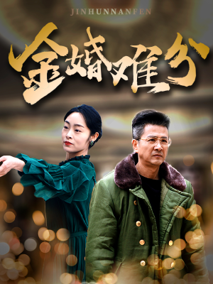 金婚难分（40集）男主角是谁