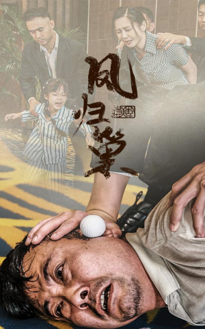 新版：凤归巢（68集）最新火爆短剧