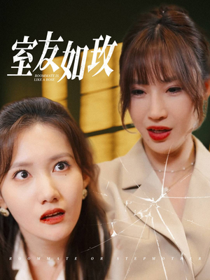 室友如玫（36集）经典老剧免费看