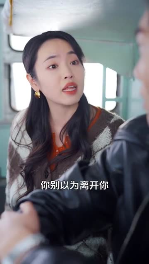 春运回家路（32集）超好看短剧推荐