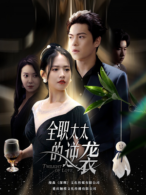 全职太太的逆袭（80集）热播短剧重燃