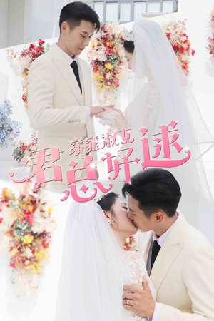 窈窕淑女，君总好逑（85集）热门短剧免费看