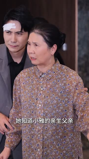 晚风吹北城（66集）热播短剧追不停