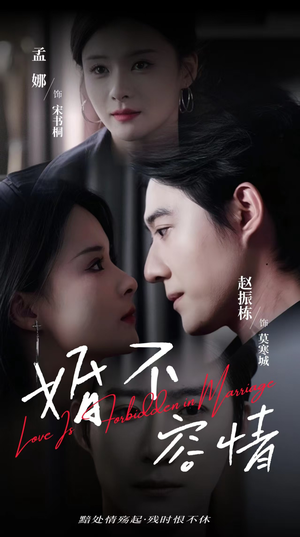 婚不容情（89集）解说文案