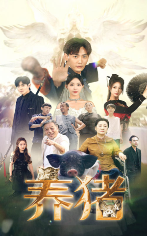 养猪（74集）精彩片段