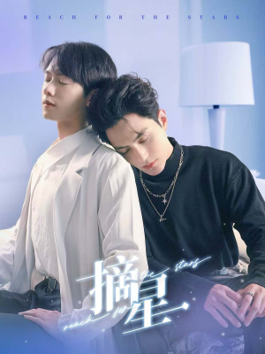 摘星（81集）高清画质免费看