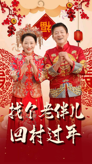 找个老伴儿回村过年（58集）免费版