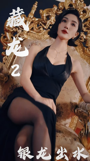 藏龙2银龙出水（35集）女频短剧推荐