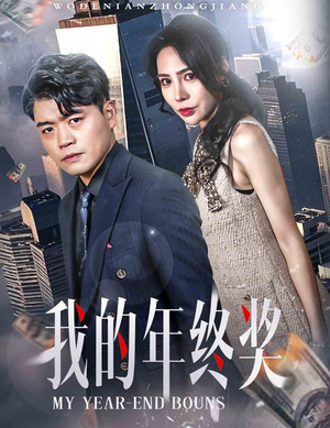 我的年终奖（30集） 观看软件