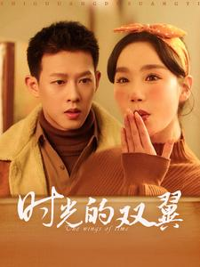 时光的双翼（94集）全剧看到大结局
