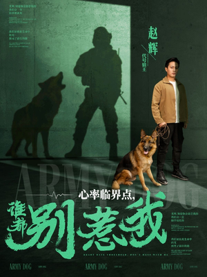 心率临界点谁都别惹我（96集） 全剧看到大结局