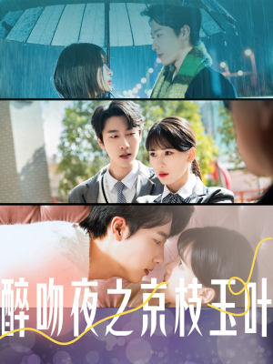 醉吻夜之京枝玉叶（90集） 追风的女孩短剧