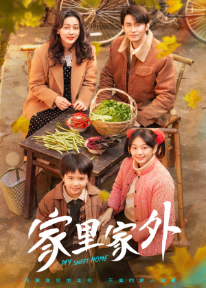 家里家外（79集） 今日短剧分享