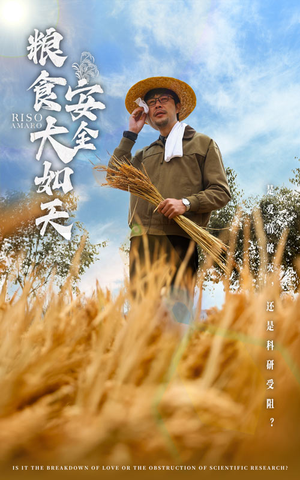 粮食安全大如天（43集） 短剧完整版免费