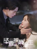 贤妻折翼逢生&雨落灯残梦（85集）  热播短剧抢先看