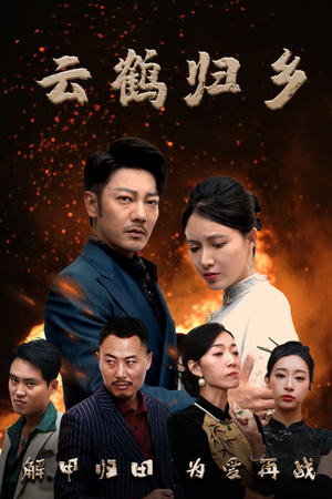 云鹤归乡（65集） 在线看完整版