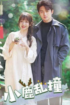 小鹿乱撞（40集） 1-102集