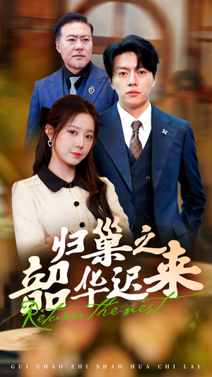 归巢之韶华迟来（62集） 免费看