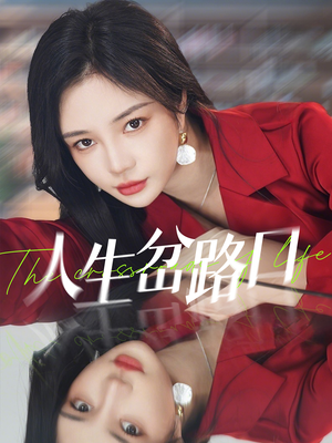 人生岔路口（30集）全部免费看全集