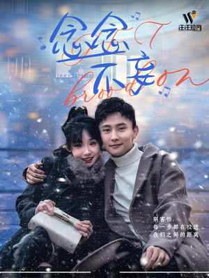 念念不妄（49集） 1-102集