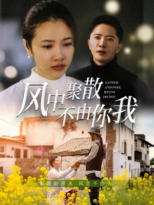 风中聚散不由你我（41集） 在哪个app能看