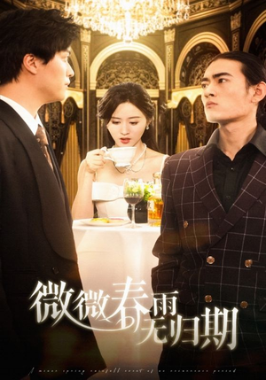微微春雨无归期（65集）高清画质免费看