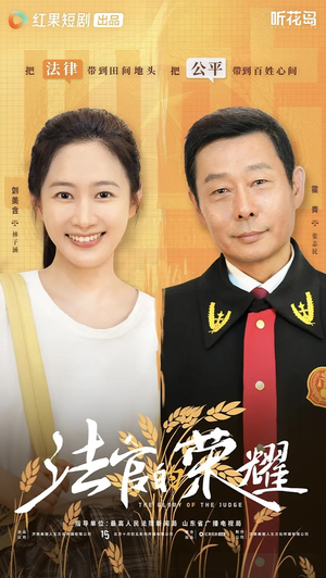 法官的荣耀（5集全）在哪看是免费的