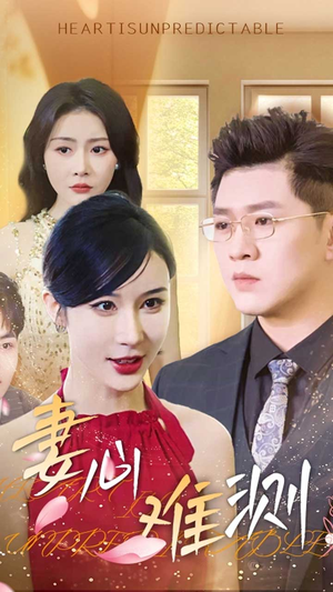 妻心难测（33集）精彩热门短剧