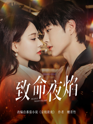 致命夜焰（80集） 短剧演员排行榜
