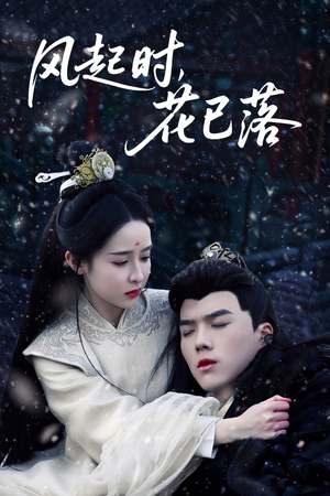 风起时，花已落（49集） 免费观看
