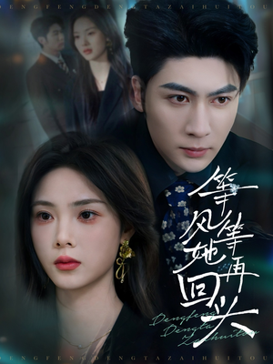 等风等她再回头（80集）免费看短剧全集