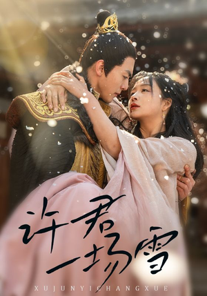 许君一场雪（43集）在哪个app能看