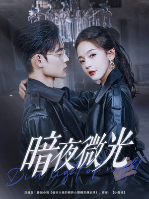 暗夜微光（86集）第一集