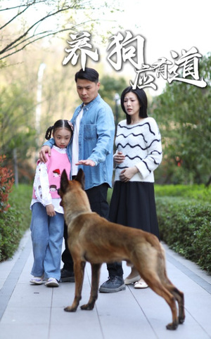 养狗应有道（60集）短剧完整版免费